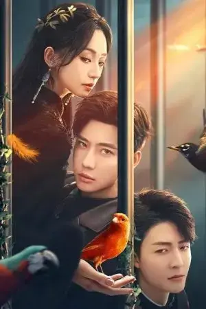 Cẩm nang trồng Hắc Liên Hoa Cẩm nang trồng Hắc Liên Hoa