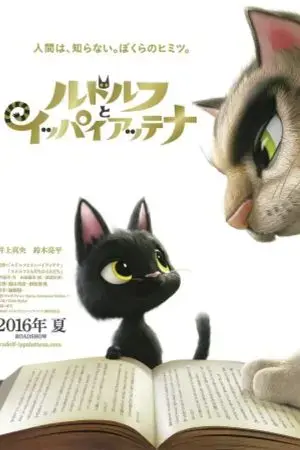 Chú Mèo Đi Lạc Chú Mèo Đi Lạc