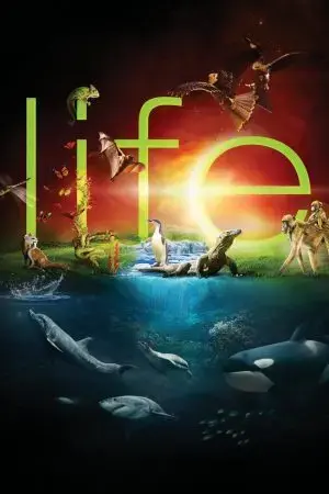 Cuộc Sống Hoang Dã