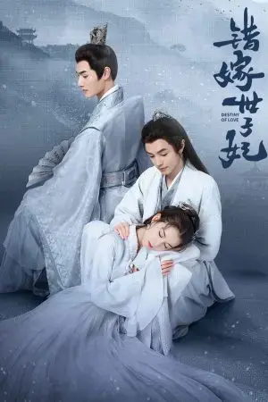 Gả Nhầm Thế Tử Phi Gả Nhầm Thế Tử Phi