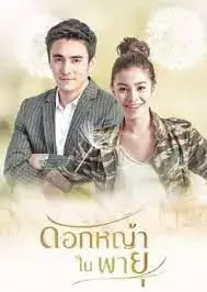 Hoa Cỏ Lau Trong Bão Hoa Cỏ Lau Trong Bão