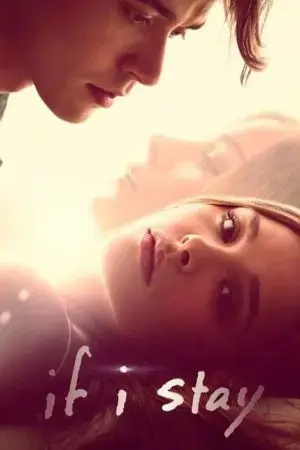 Tất Cả Là Lỗi Của Hiệu Suất