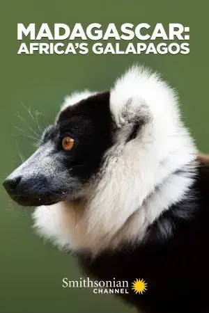 Madagascar: Africa's Galapagos Madagascar: Africa's Galapagos