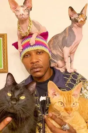 Những người yêu mèo Những người yêu mèo