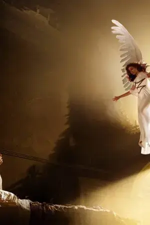 Chàng Rể Thiên Kim Chàng Rể Thiên Kim