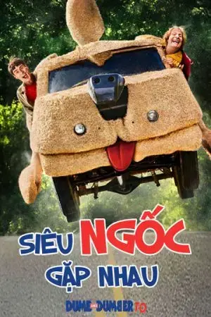 Siêu Ngốc Gặp Nhau Siêu Ngốc Gặp Nhau