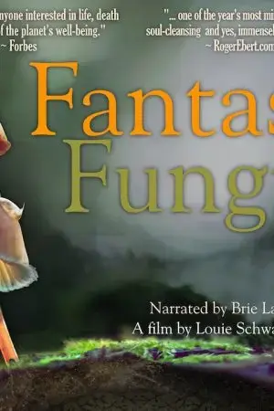 Câu Chuyện Anh Hùng Câu Chuyện Anh Hùng